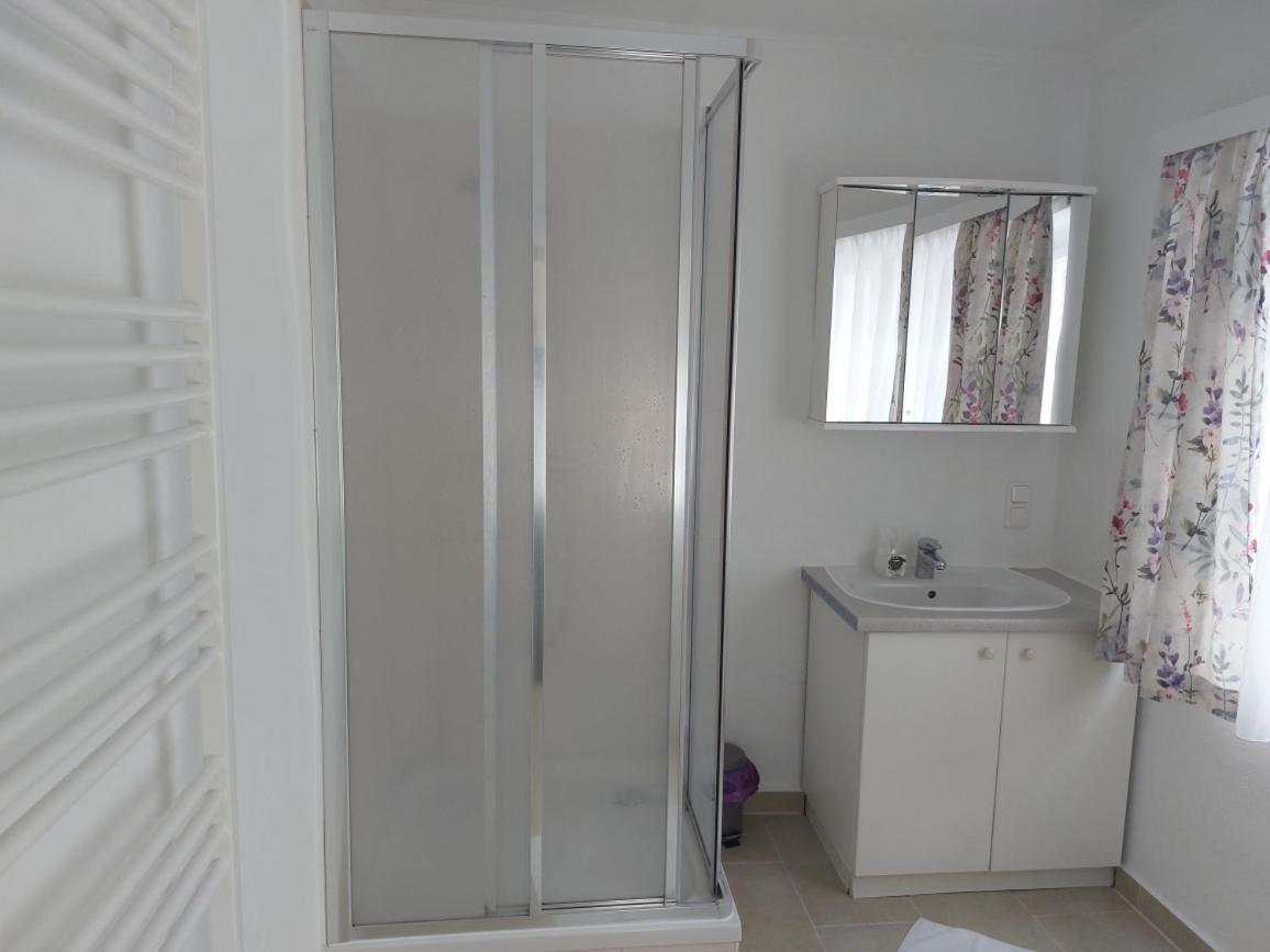 Ferienwohnung Salzafeld Bad Mitterndorf Dış mekan fotoğraf