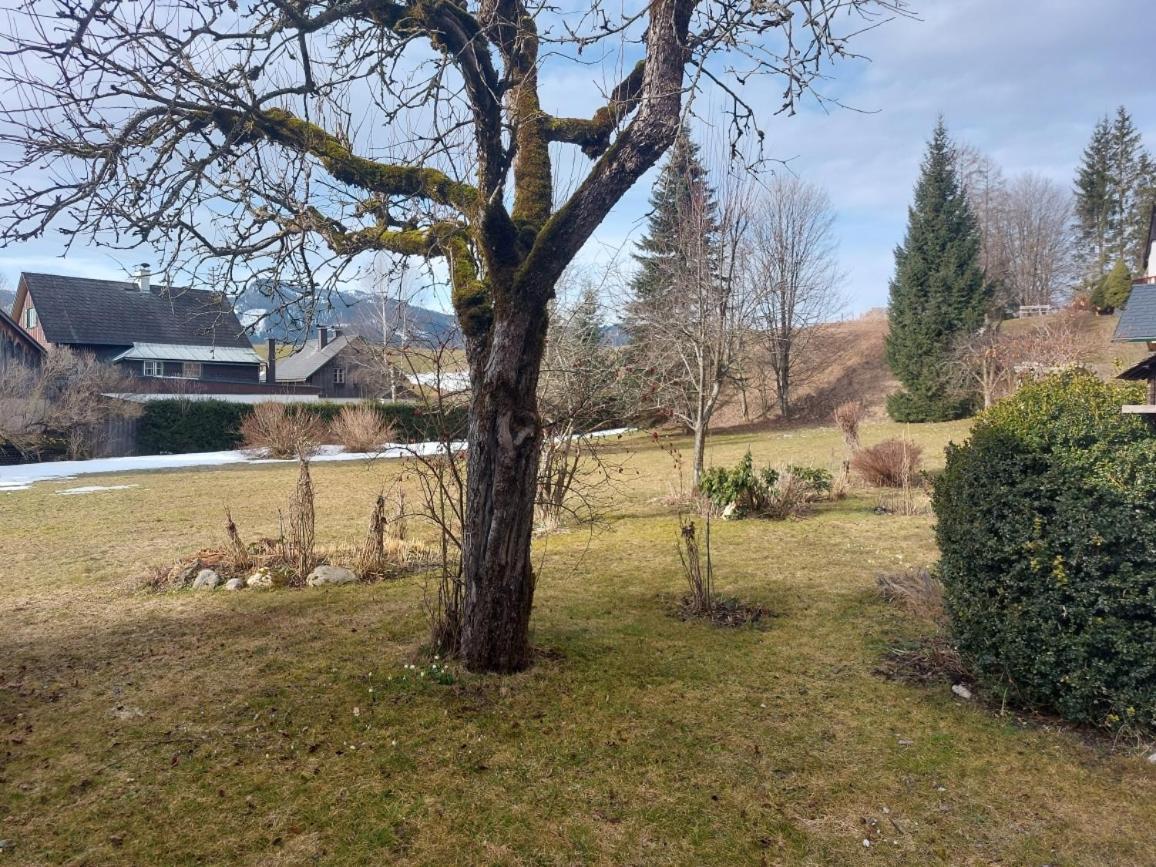 Ferienwohnung Salzafeld Bad Mitterndorf Dış mekan fotoğraf